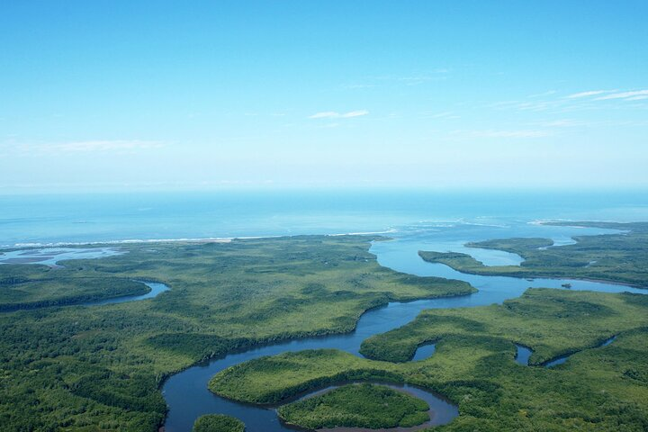 One Day Tour To Térraba-Sierpe Mangrove By Boat From Sierpe - Photo 1 of 6